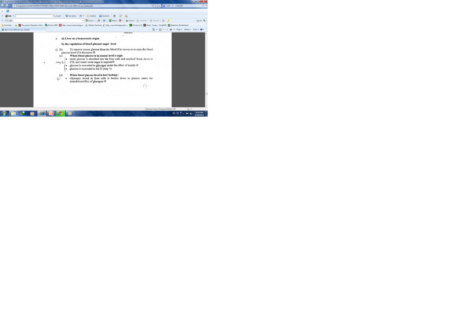 Pablo neruda essay love