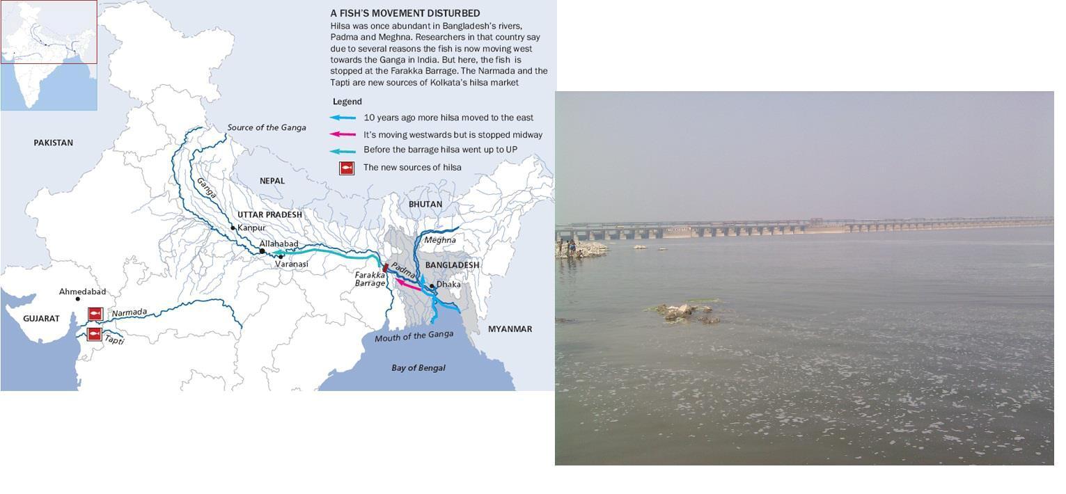 Farakka Barrage (west Bengal ,India) General Knowledge