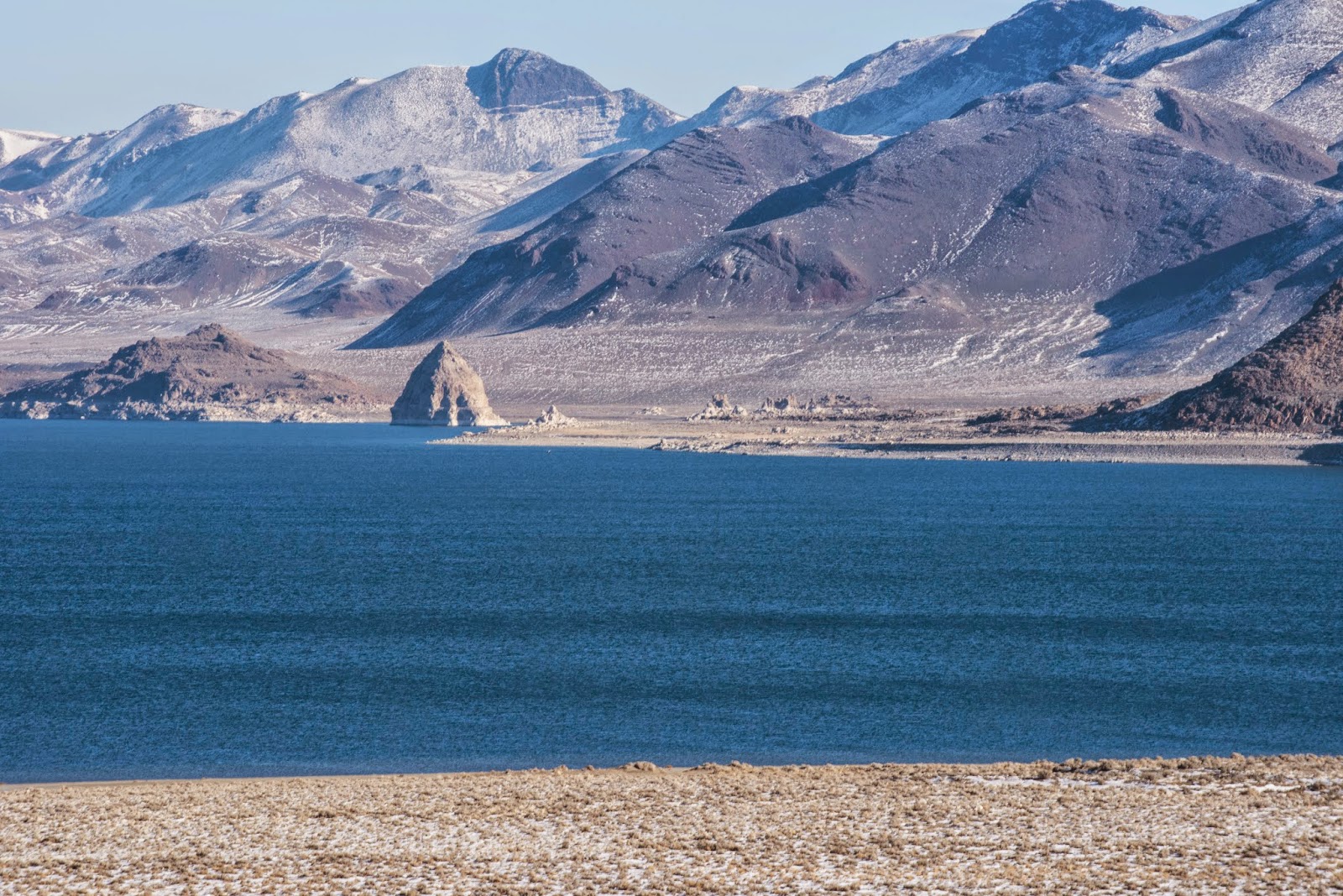 What's Up with Michael Fly Geyser and Gerlach Nevada