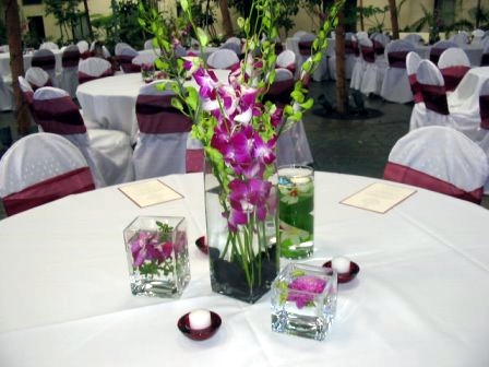 orchid in the glass something difference beautiful orchid in the glass something difference beautiful