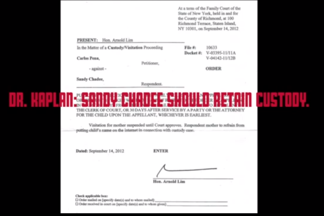 cover letter for guardian ad litem chris king s amendment page guardian ad litem cover letter for guardian ad litem chris king s amendment page guardian ad litem