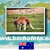 Borboletas da Austrália