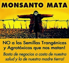 MONSANTO MATA