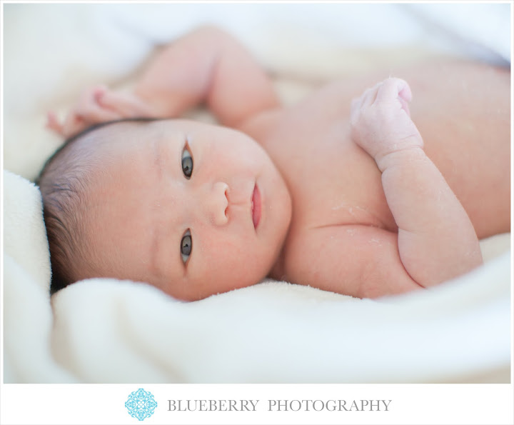 oakland bay area newborn baby infant photography session