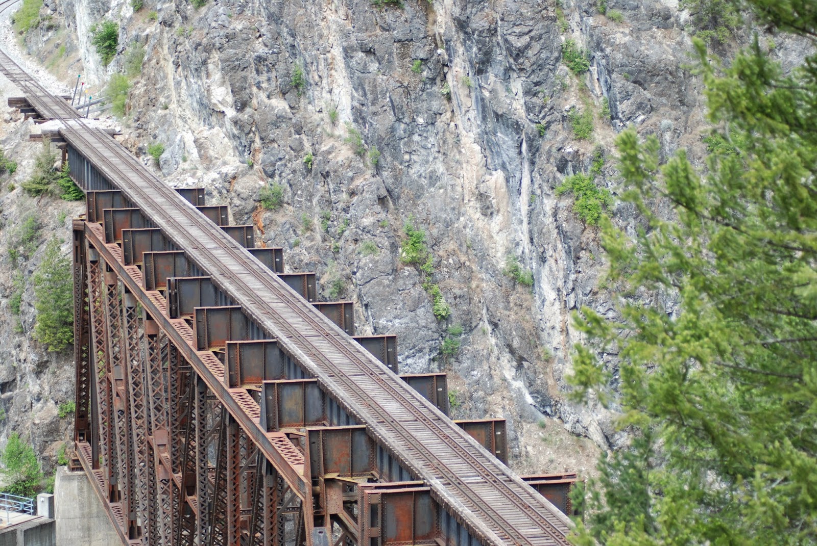Elmira Pond Spotter Meet Me in Metaline