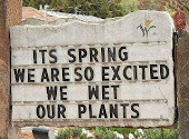 wet our plants