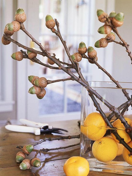 Dishfunctional Designs: Acorn Crafts & Home Decor