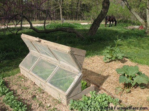 Cold Frame Diy Plans