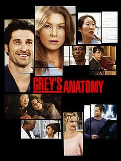 download baixar assistir online serie Baixar - Grey's Anatomy S08E01 8x01 AVI + RMVB Legendado - Free Falling greys anatomy2 Baixar Greys Anatomy S08E01 8x01 AVI + RMVB Legendado Free Falling