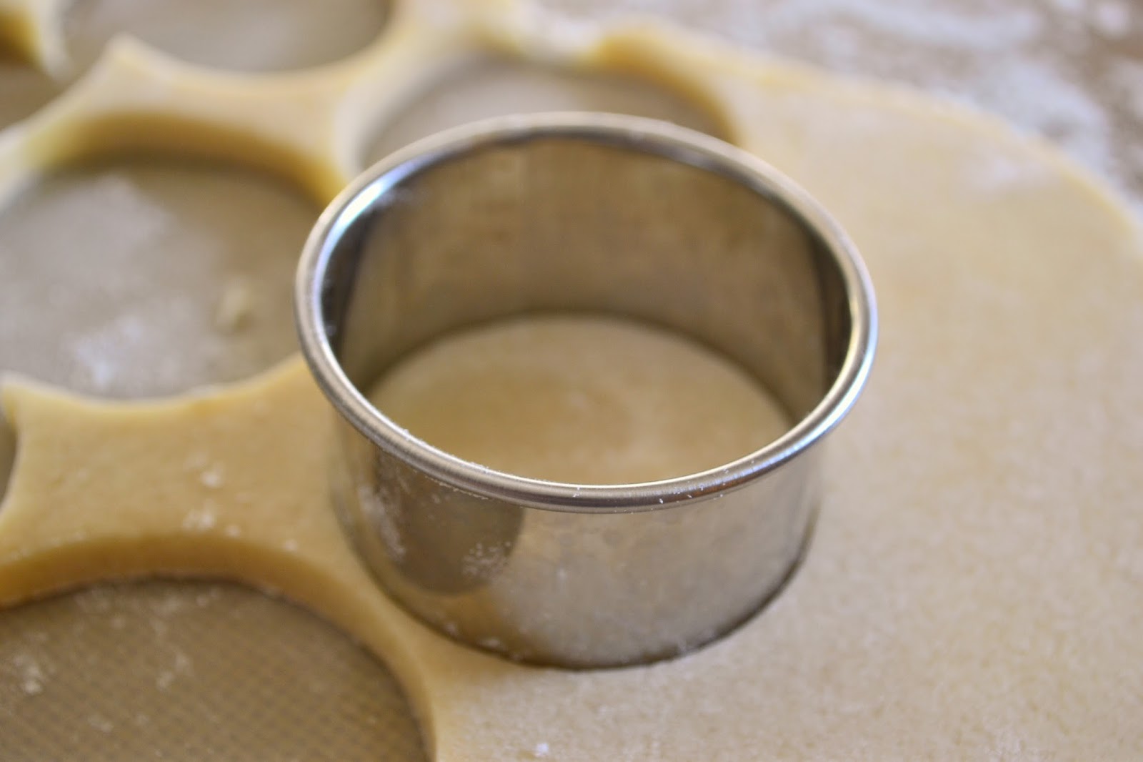 Cast Iron Stew Sugar Cookies