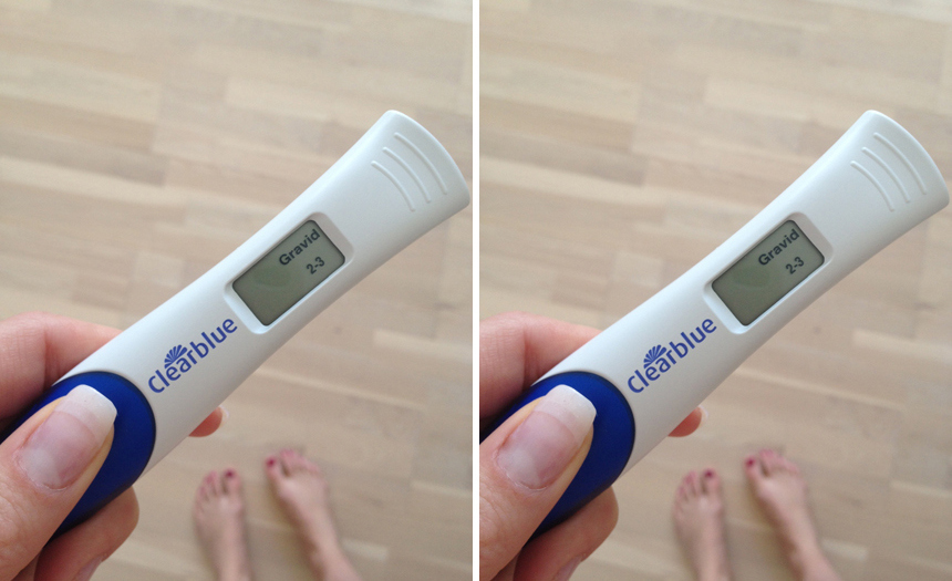 gravid 5 4 netdate gravid 5 4 netdate