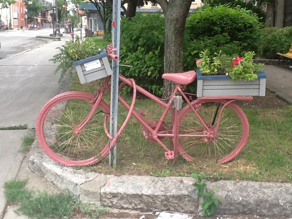 Photo : au coin dudit Parc Dorchester, un vieux vélo est repeint en rose avec des pots de fleurs à l'avant et l'arrière sur le vélo. Végétation, rue et maison autour.