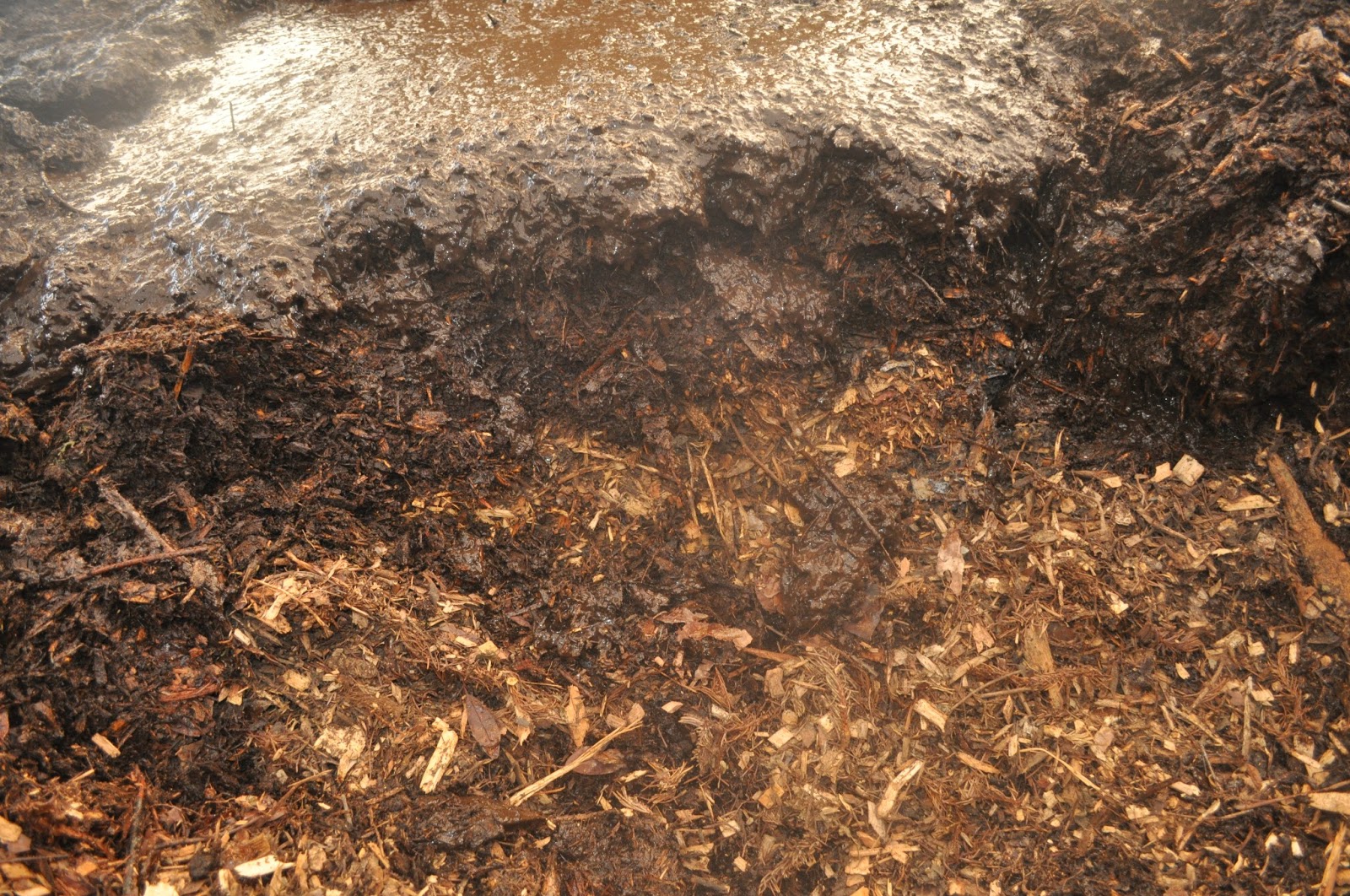 meat Back to farming...deep litter, 90 days in.