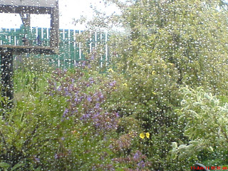 DSC02245.JPG