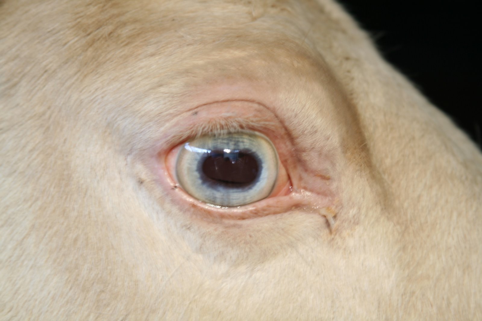 The Story Behind The Pictures Day 89 Crystal's Eye