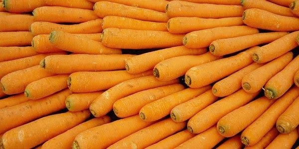 carrot.jpg