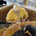 Animal hoarding in the US thumbnail