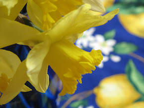 Georgia Daffodil Society
