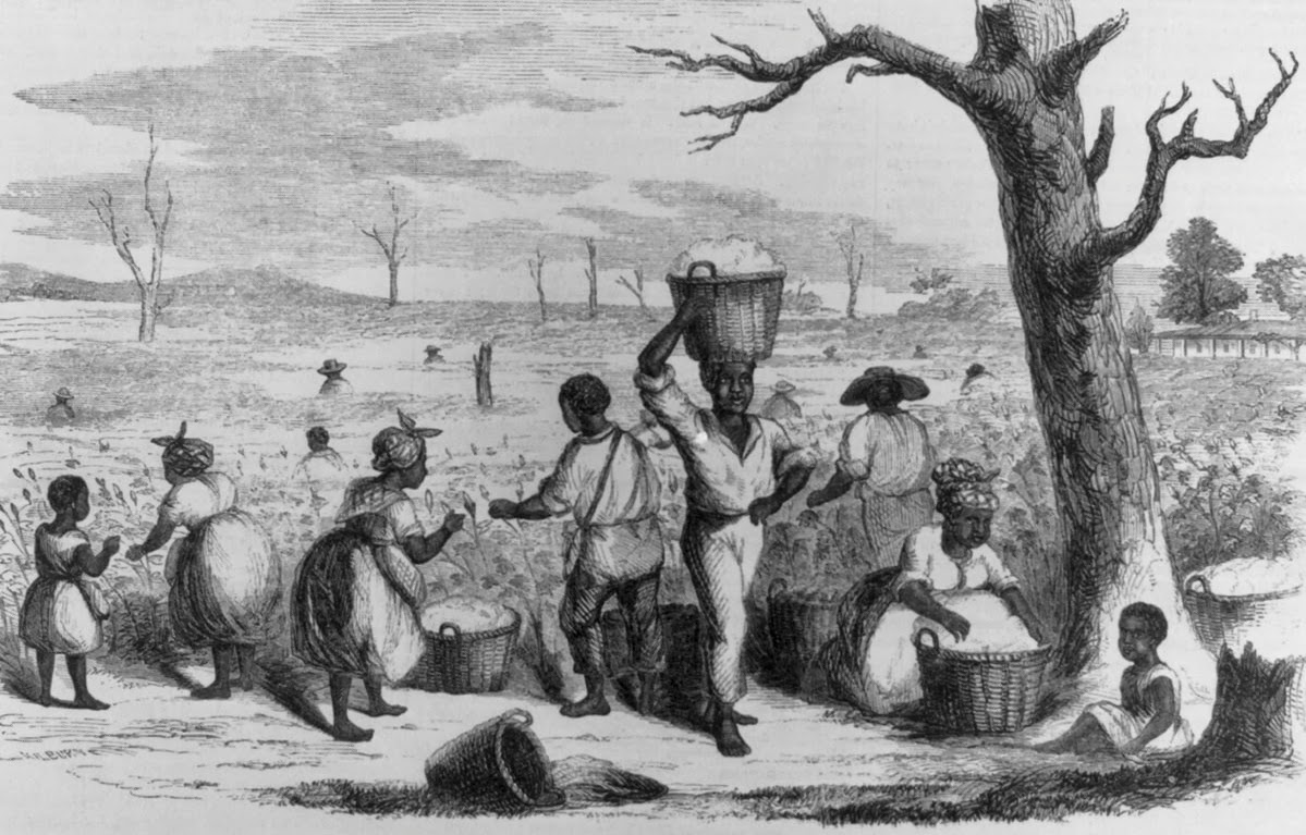 It's About Time The role of slaves in the 16C19C American