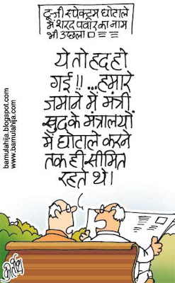sharad Pawar cartoon, congress cartoon, corruption in india, 2 g spectrum scam cartoon, neera radia cartoon, indian political cartoon