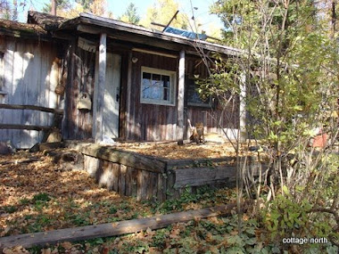 Authentic Log Cabin 1925 - Deer Trail location EQ 25