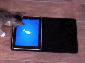 Коты анимация: Cats & Ipad