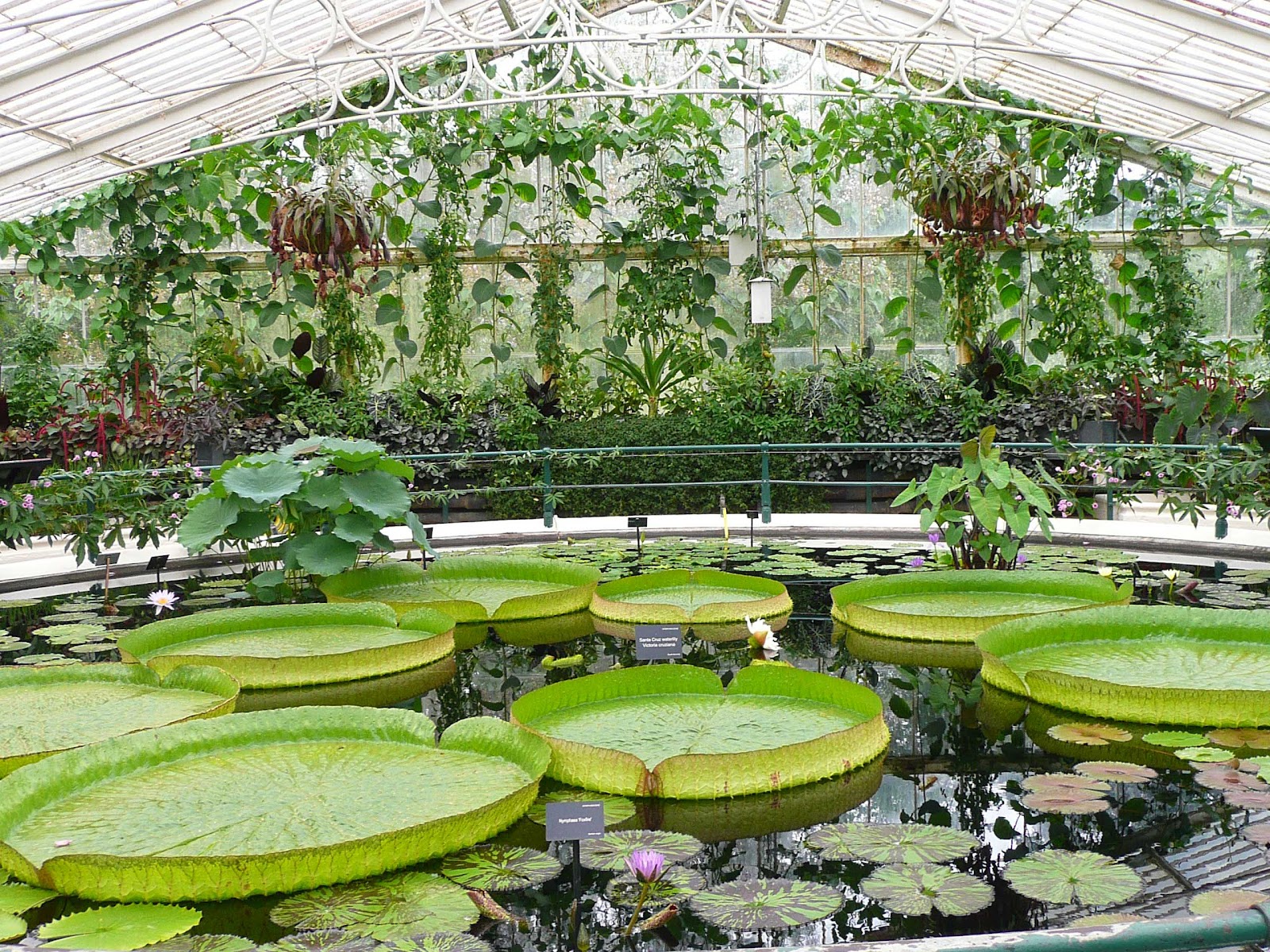 http://4.bp.blogspot.com/-27hmIdgx-0c/UBbTeGG68UI/AAAAAAAAFuw/3vYTkSOvcQs/s1600/Lily%20House%20Kew.jpg