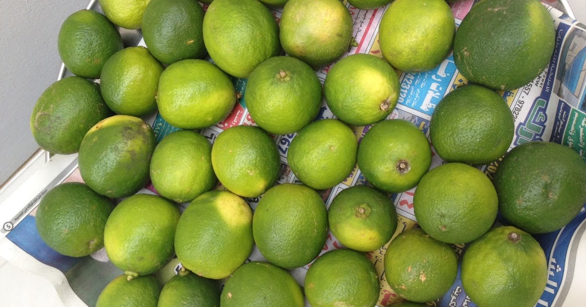 Lifestyle Shenanigans Dried Lime