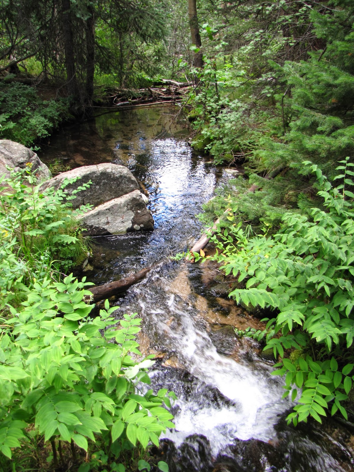 Go Hike Colorado Bridal Veil Falls, Rocky Mountain National Park