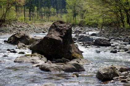 木の俣川の写真