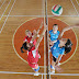 Material: Voleibol para iniciantes