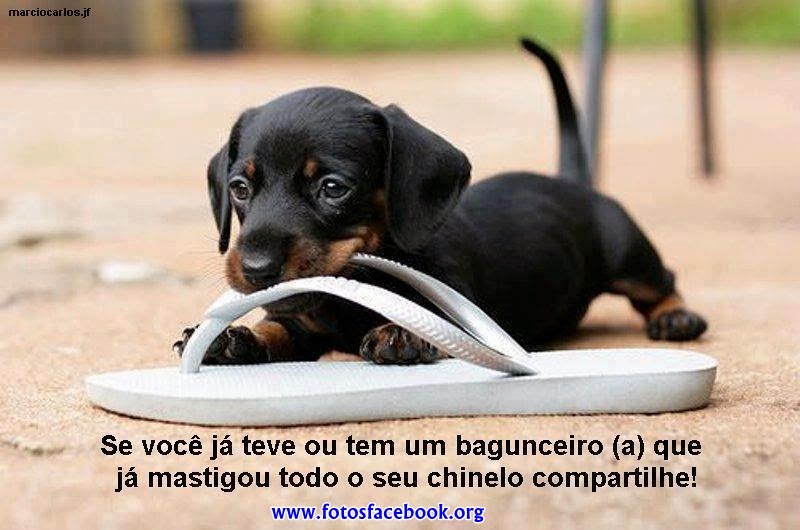 Imagens Fofas para Postar no Facebook