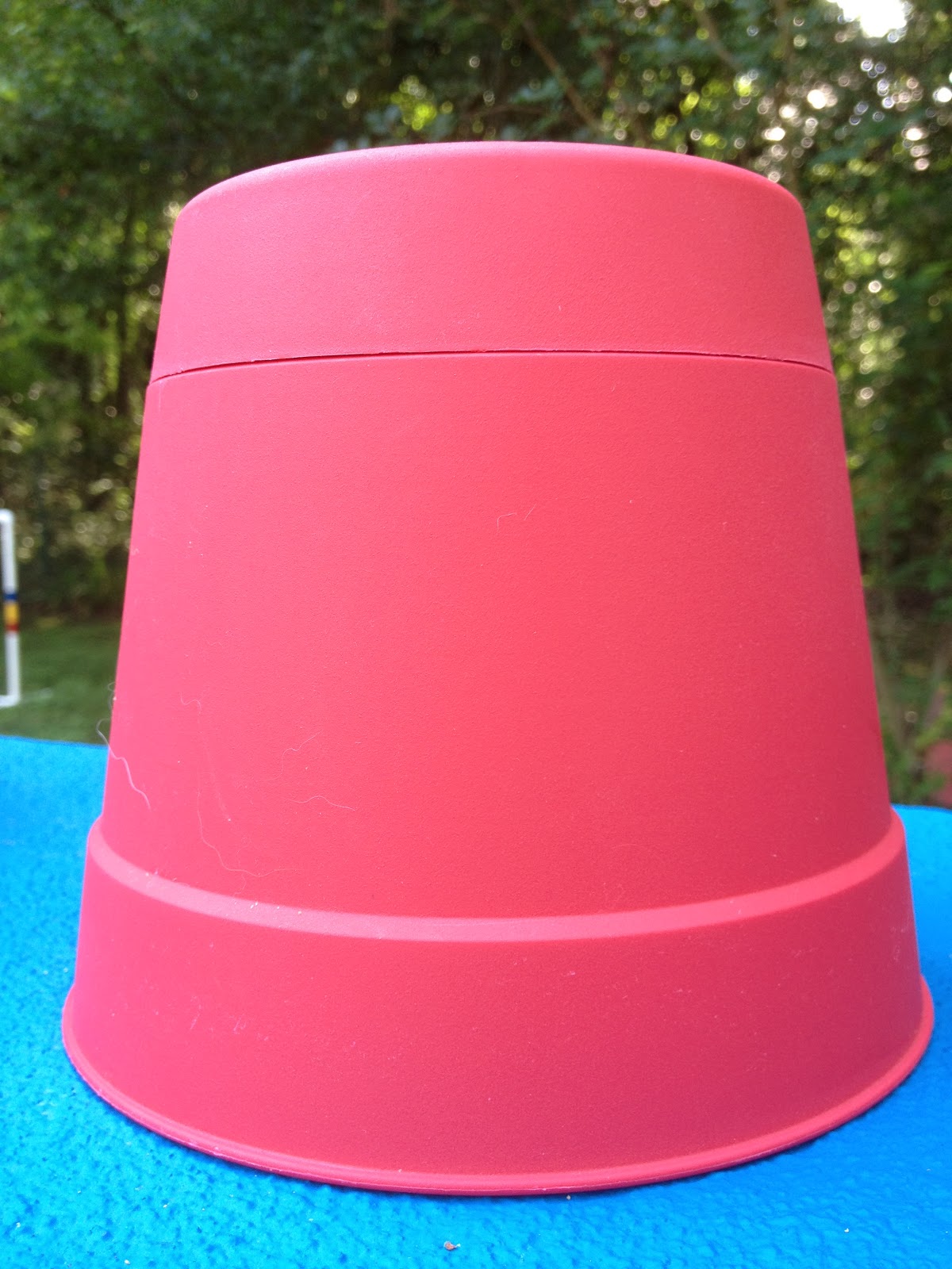 Michele Fry's Agility Dogs Training and Competition Number Cones