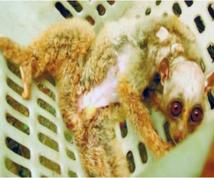 alien 3