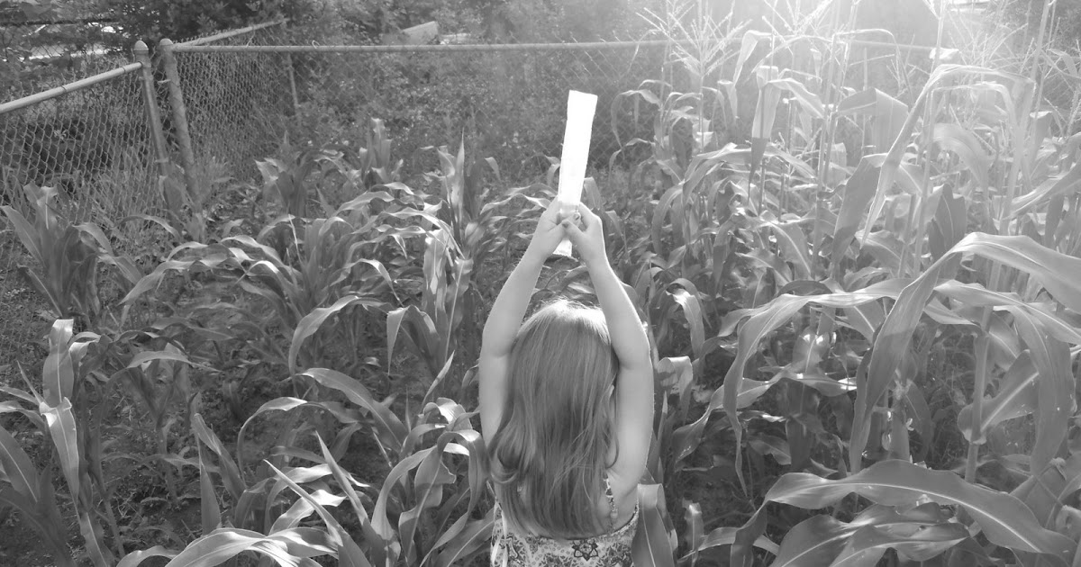 Georgia Home Garden: Garden Harvests - May 24, 2012