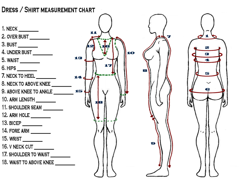 Ideal Female Body Measurements Chart