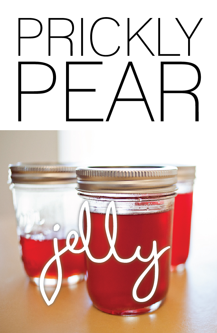 How To Make Prickly Pear Freezer Jelly A Day In April,What Do Cats Like To Look At