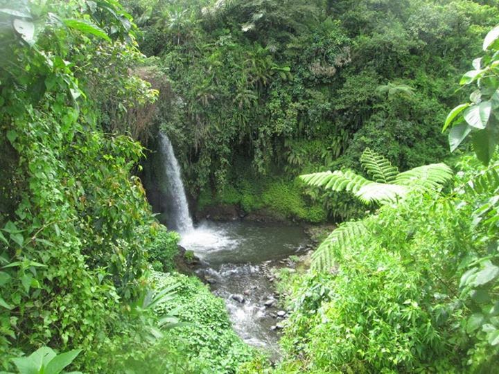 AIR TERJUN DI BANYUWANGI