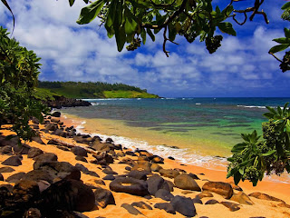 Beach Shade252C Moloaa252C Kauai252C Hawaii   erc