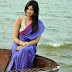 Nikitha-Narayanan-Saree-Photo_stills