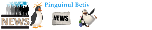 Pinguinul Betiv are o sete de informationalizare stiri 2016