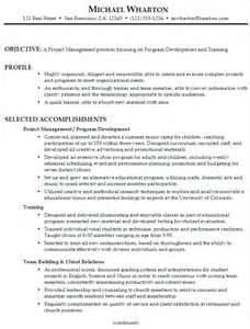 junior travel consultant resume