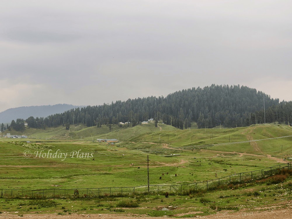 Valley at Gulmarg Valley at Gulmarg