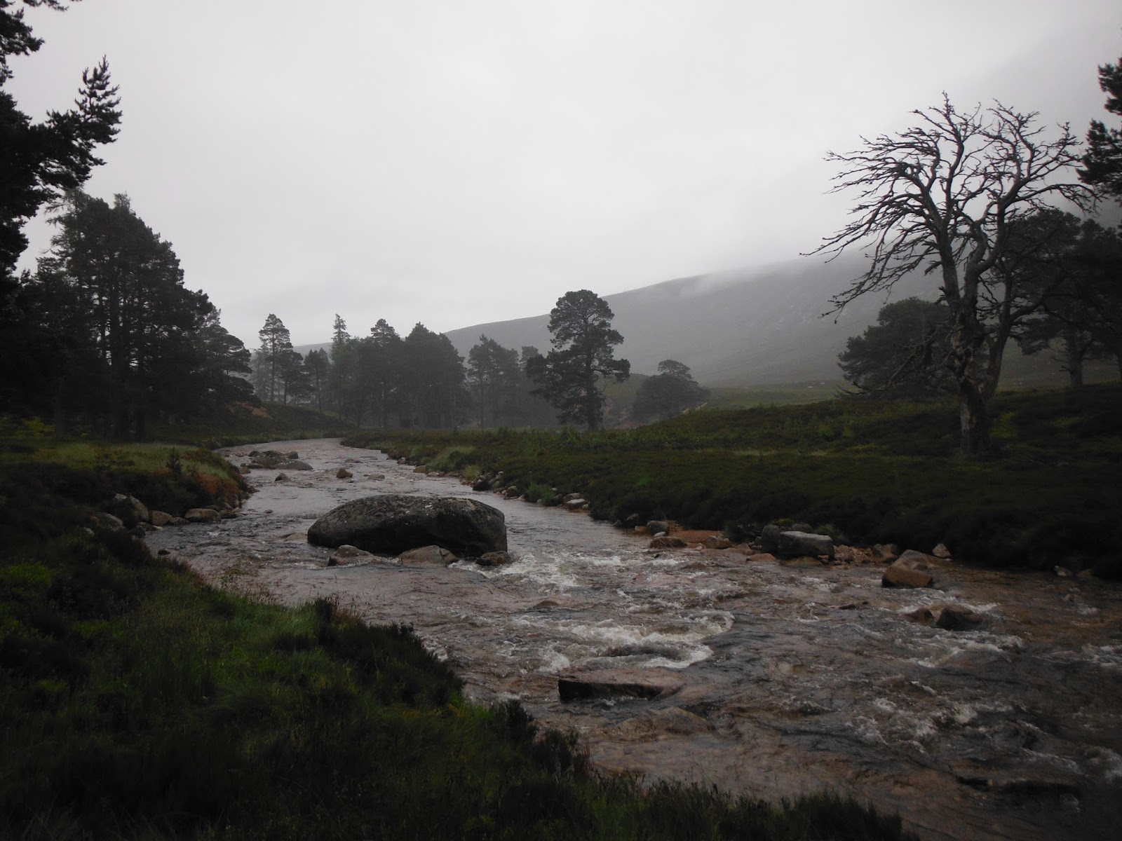 One Man Four Bikes Freedom Wild Camping At The Linn Of Dee