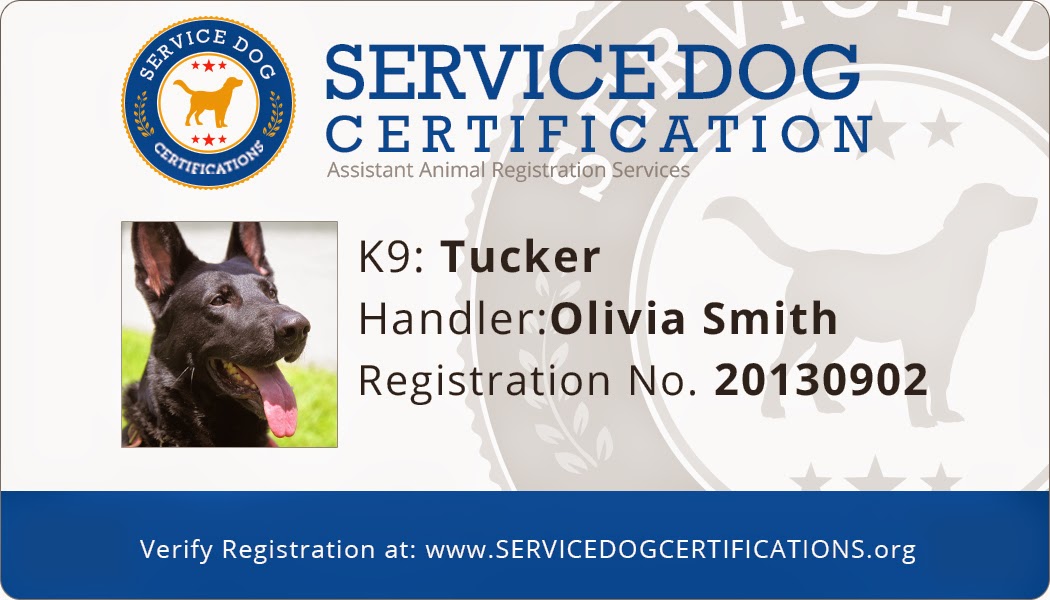 How To Get Your Dog Certified As Service Dog