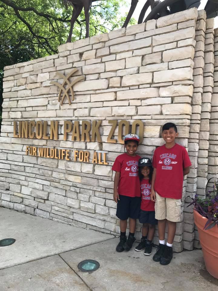 Lincoln Park Zoo - Chicago