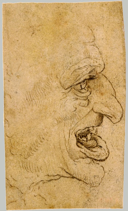 Leonardo da vinci essay