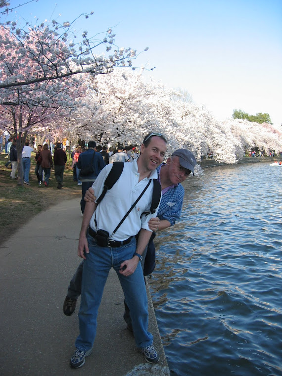 Cherry Blossom in DC - April 2004