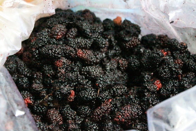 Review Đà Lạt - SĂN MA và DÃ QÙY t 11/2016 - 46