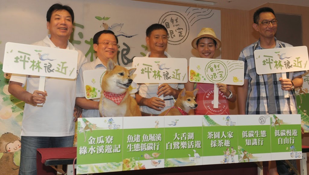 新北市找來大、小柴犬當主角拍攝CF,化身「茶爸與小茶」帶大家走進坪林!圖:陳冠廷/攝 新北市找來大、小柴犬當主角拍攝CF,化身「茶爸與小茶」帶大家走進坪林!圖:陳冠廷/攝